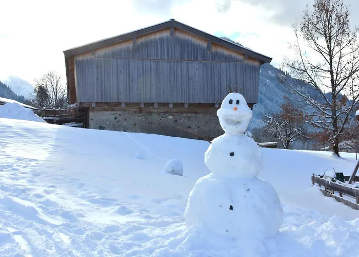 Daxer By Interhome *