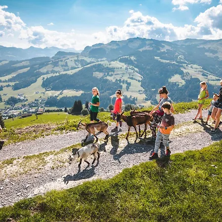 Daxer By Interhome Appartement *