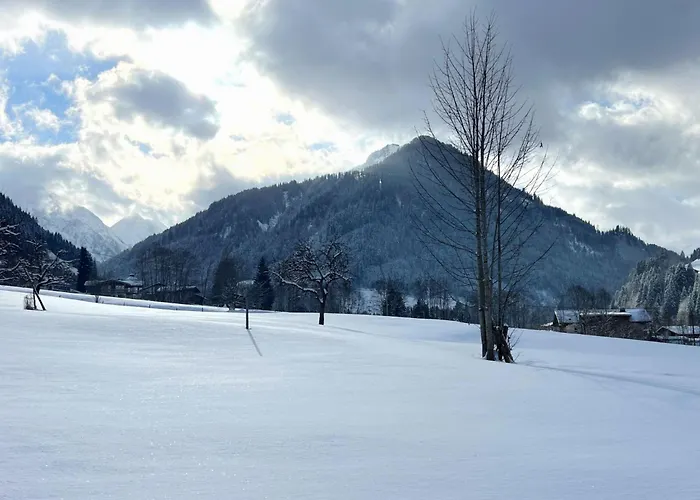 Appartement Daxer By Interhome Kirchberg en Tyrol