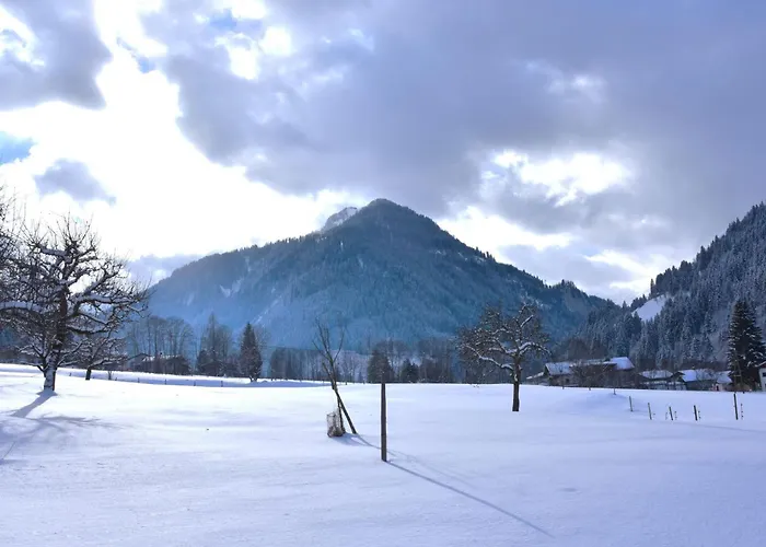 Daxer By Interhome Appartement Kirchberg en Tyrol